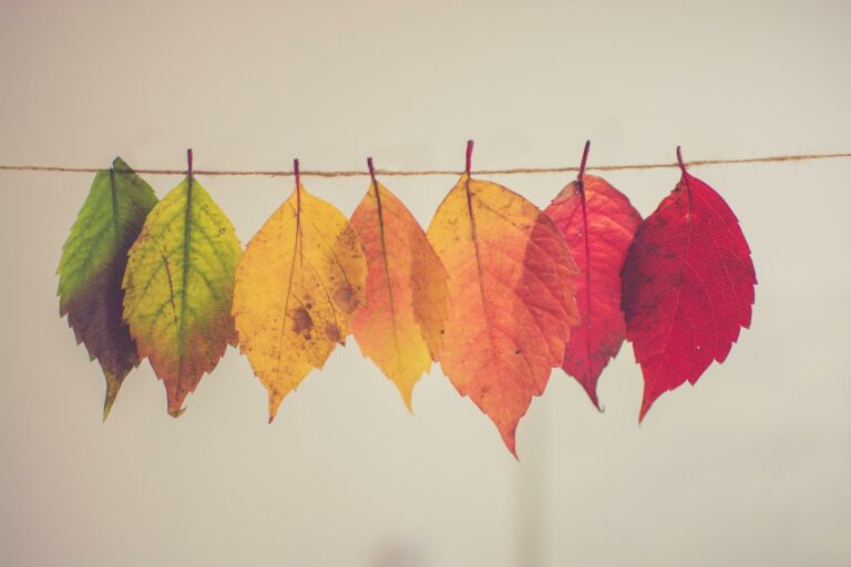 3 phases of change management