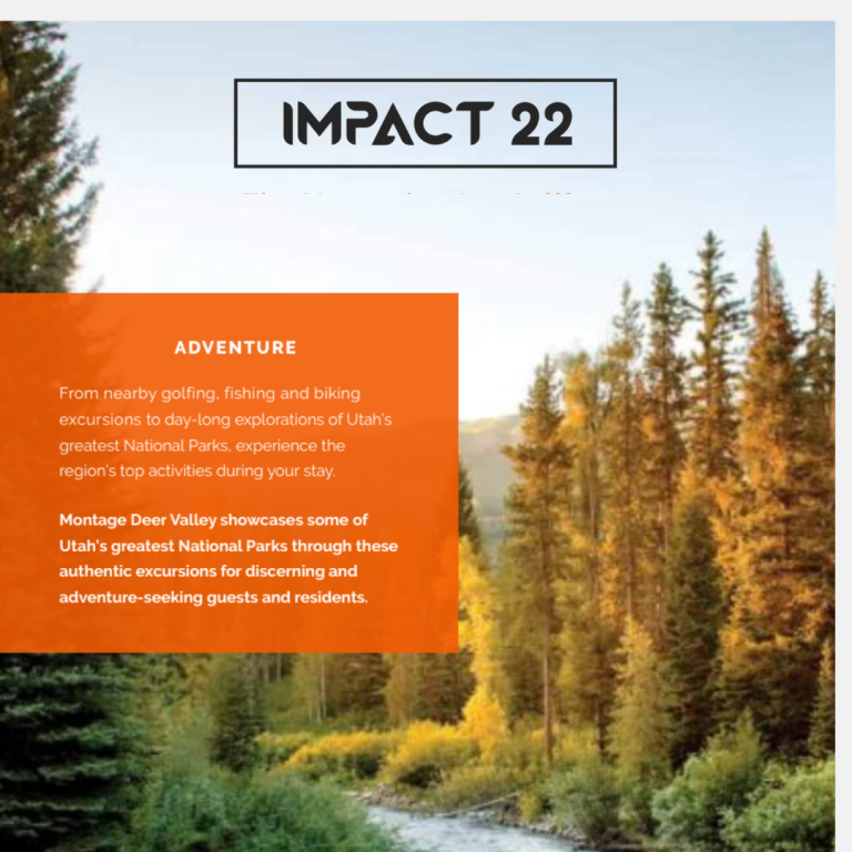 IMPACT22: Adventure Awaits -Online marketing association